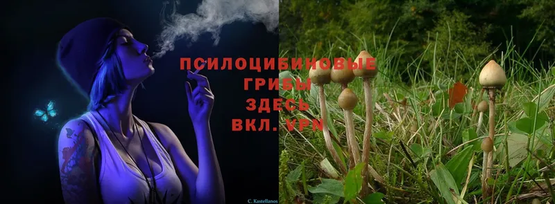 Галлюциногенные грибы MAGIC MUSHROOMS  Чишмы 